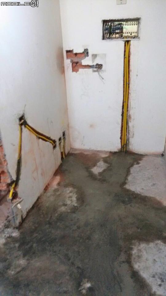 [開箱]工業Loft英式小宅，變明亮空間變大了，我的黃金獵犬+兩位愛狗人士