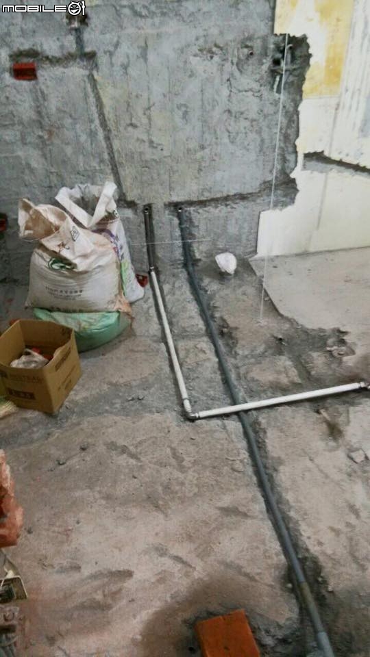 [開箱]工業Loft英式小宅，變明亮空間變大了，我的黃金獵犬+兩位愛狗人士