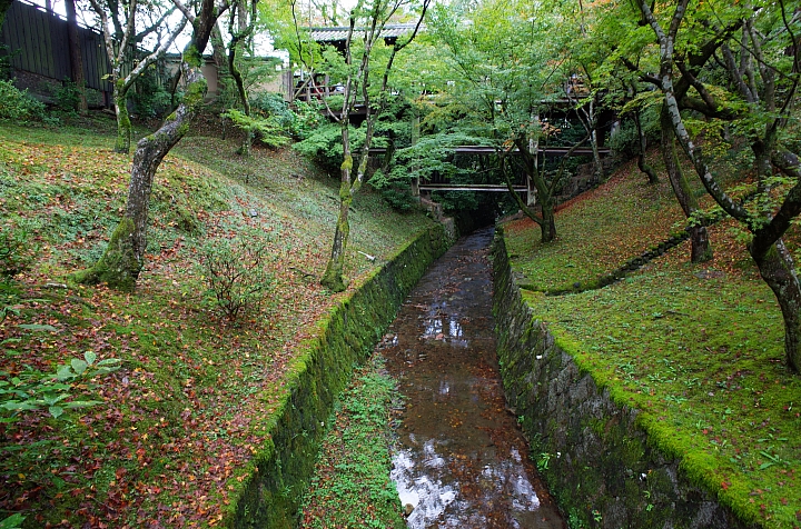 [GR+GW-3]：日本關西輕廣角漫遊