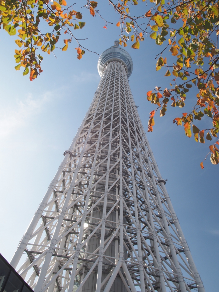 2015.11.11東京河口湖遊記（12mm+9-18mm）