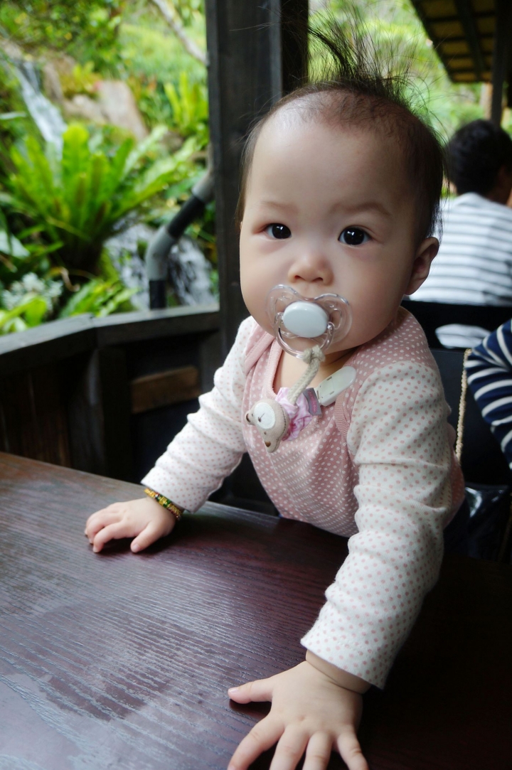 [沖繩名護]百年古家 大家 うふやー - 綠葉、流水還有美食