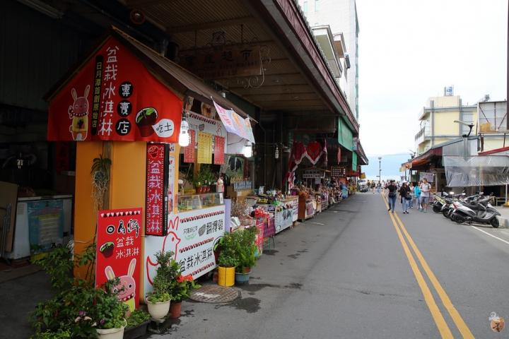 [南投]日月潭遊玩攻略路線-遊艇、巴士、單車  by蛋拔