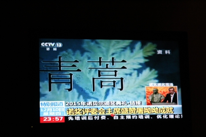 嗨 翻 江 南 五 日 孝 親 行 ( 第 一 、 二 日 )