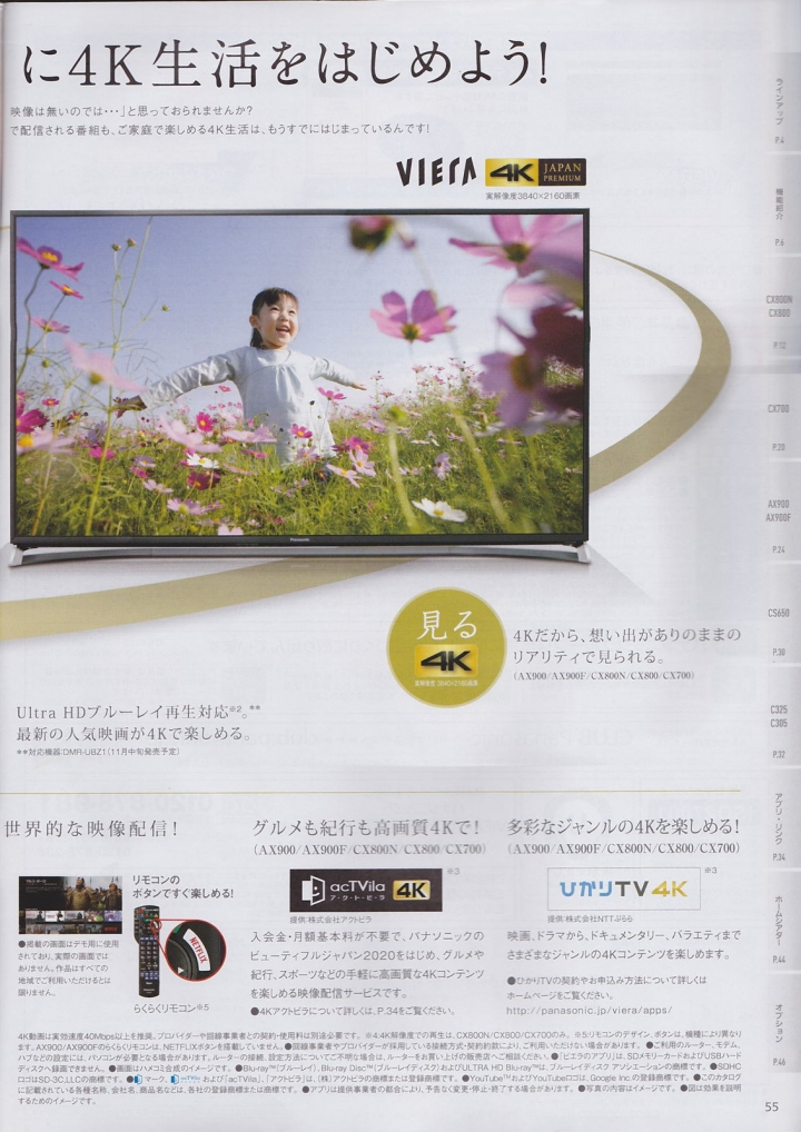 Panasonic 2015 冬季 日規電視