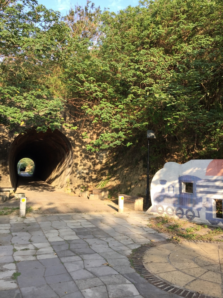 2015-11-24 誤入歧途之 縣道119全線 + 「西湖伯朗大道」與「好望角」 的山海一日遊(下集)