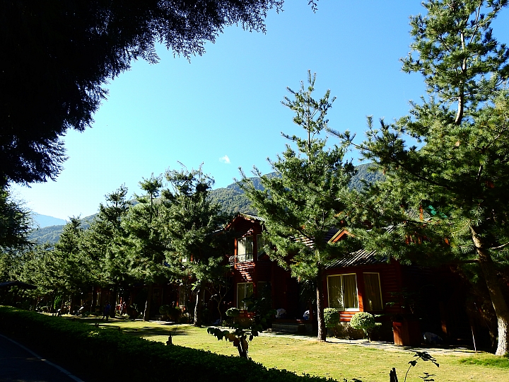 湯屋有兩棵大樹耶！全家開心東埔沙里仙泡溫泉，拍星軌、享受陽光燦爛。