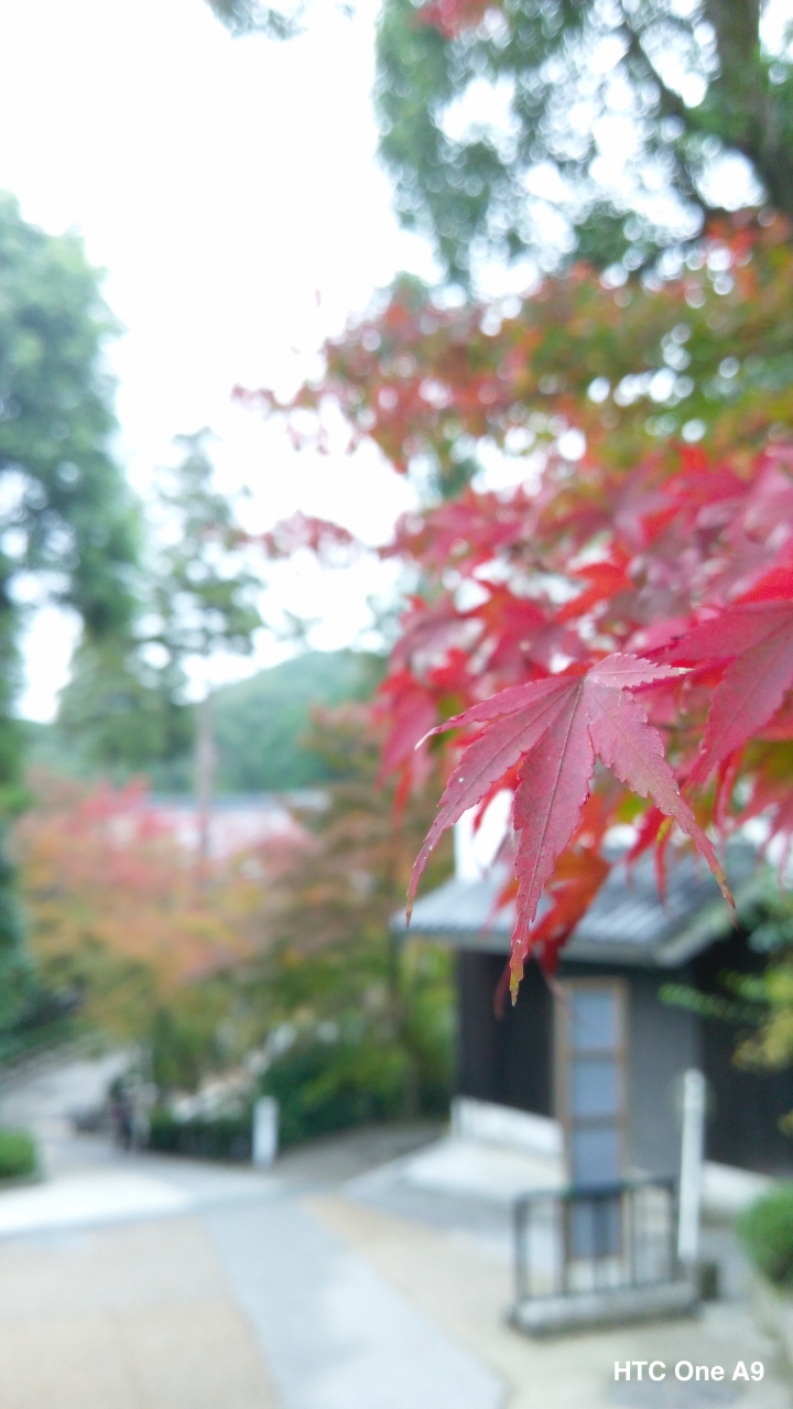 iPhone 6s v.s HTC One A9（京阪神旅行篇）