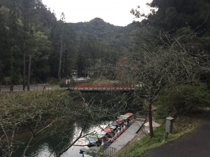 1041221 單攻水漾森林 A線(鹿屈山)去B線(林道)回