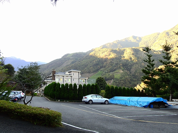 湯屋有兩棵大樹耶！全家開心東埔沙里仙泡溫泉，拍星軌、享受陽光燦爛。