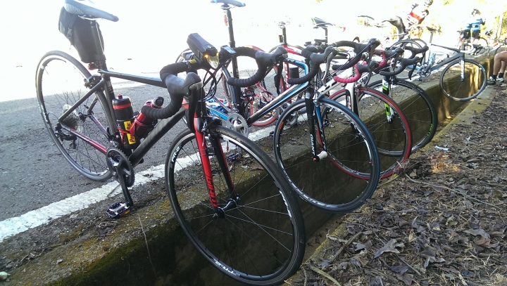 2016 年式 捷安特(Giant) TCR SLR2  開箱