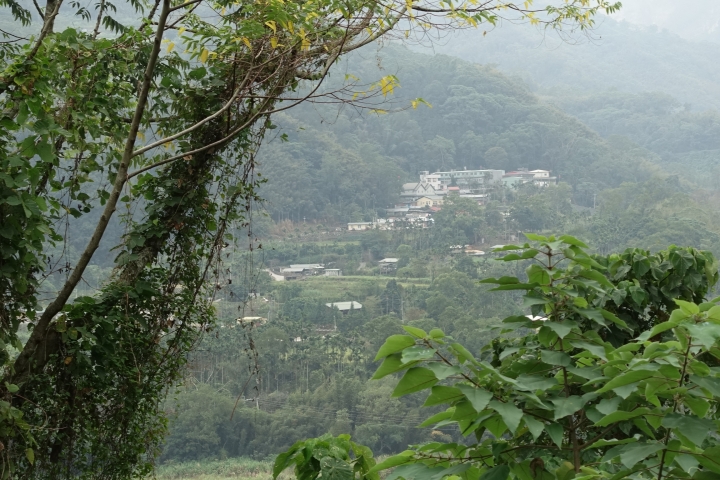 單車旅行 竹山-草嶺-來吉-太和-瑞里-竹崎-民雄