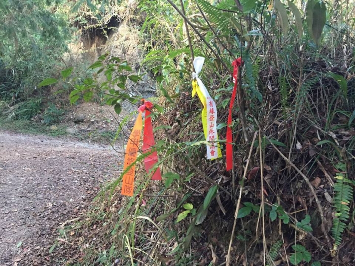 1041221 單攻水漾森林 A線(鹿屈山)去B線(林道)回