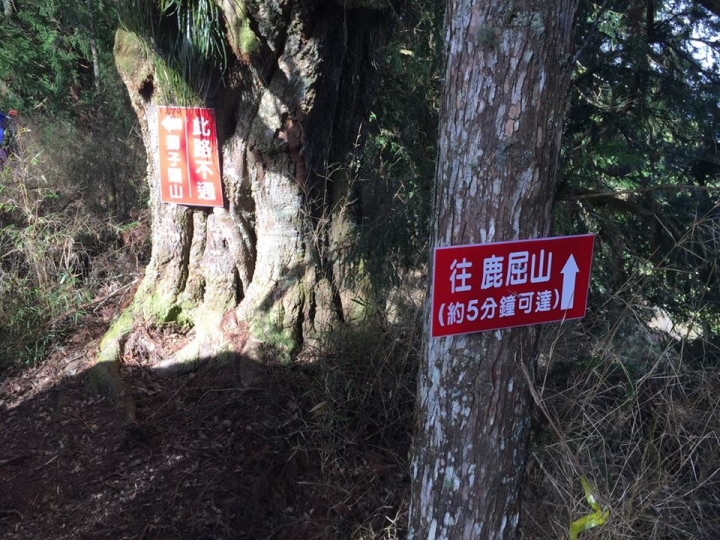 1041221 單攻水漾森林 A線(鹿屈山)去B線(林道)回