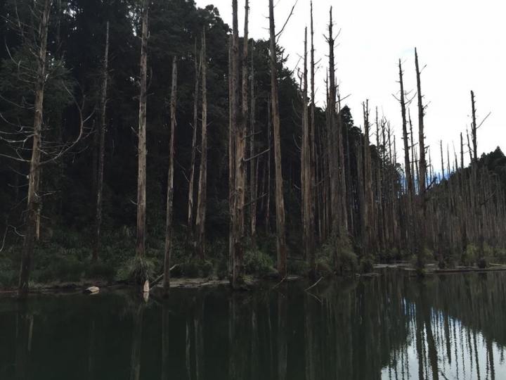 1041221 單攻水漾森林 A線(鹿屈山)去B線(林道)回