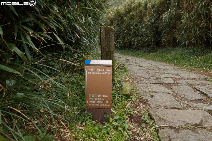 隱藏山中的小型圖書館 陽明山出霧溫泉