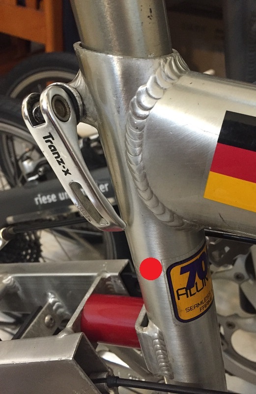 Birdy骨折了，尋求名醫回春