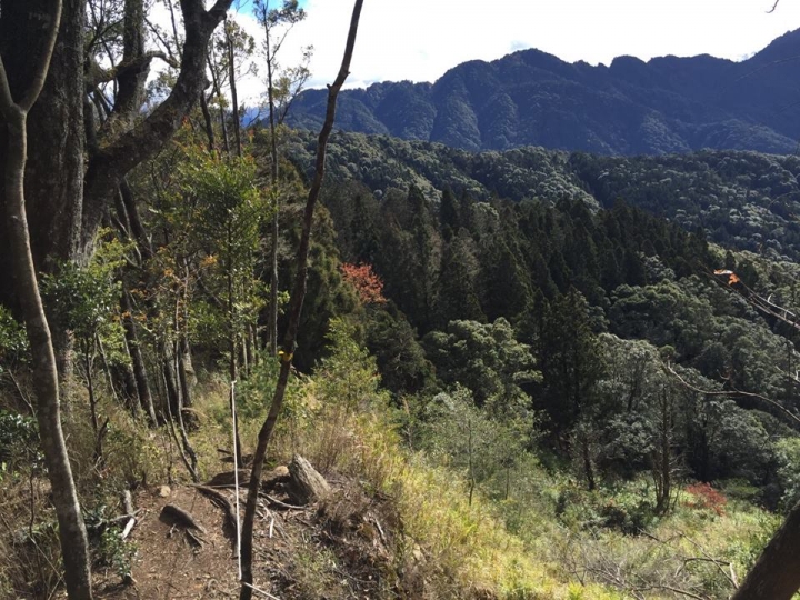 1041221 單攻水漾森林 A線(鹿屈山)去B線(林道)回