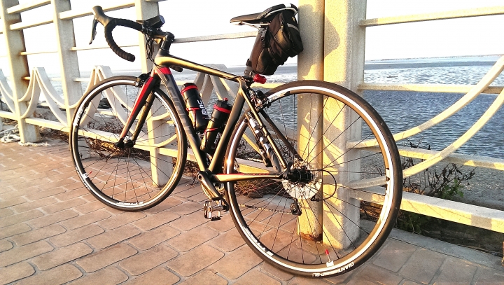 2016 年式 捷安特(Giant) TCR SLR2  開箱