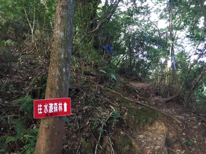 1041221 單攻水漾森林 A線(鹿屈山)去B線(林道)回