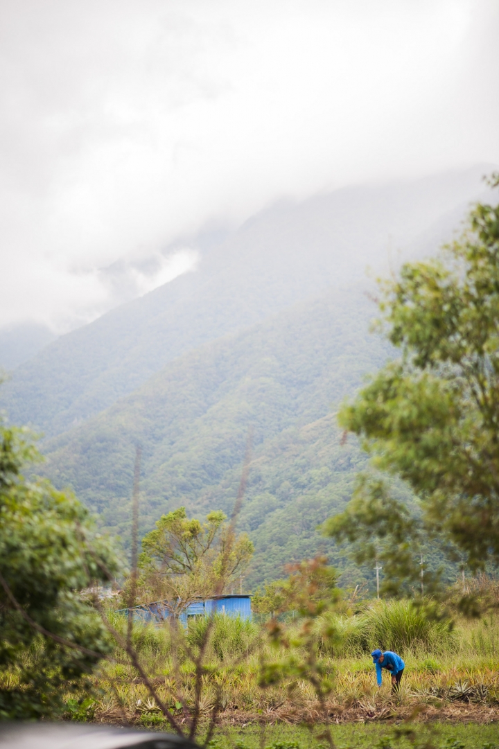 d700的畢業假環島旅行