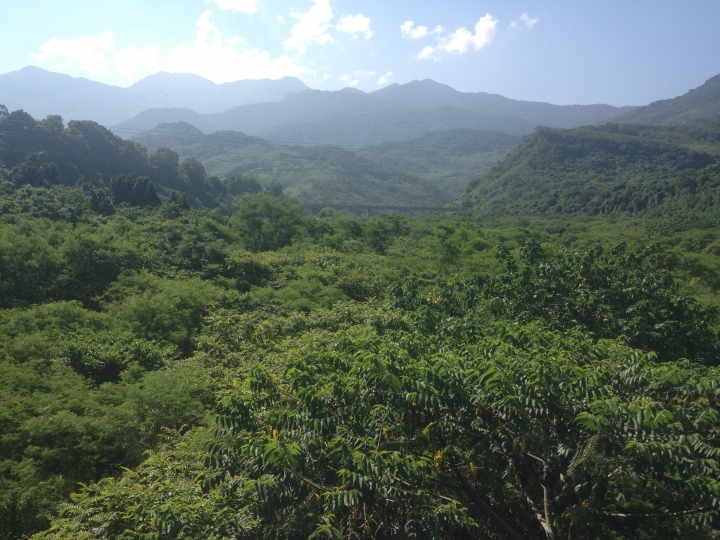遲到的單車環島差一步之旅(文多...圖多...請見諒)