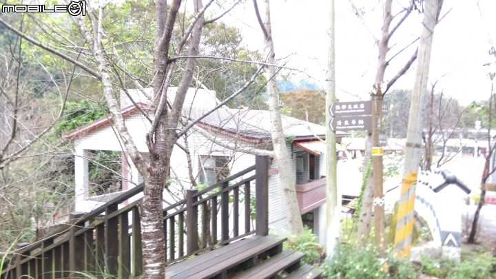 新竹 清泉部落泡腳遊