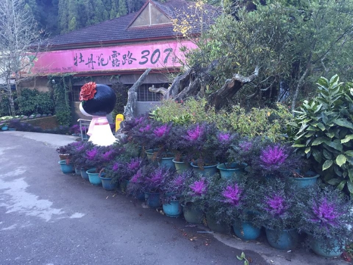 1041221 單攻水漾森林 A線(鹿屈山)去B線(林道)回