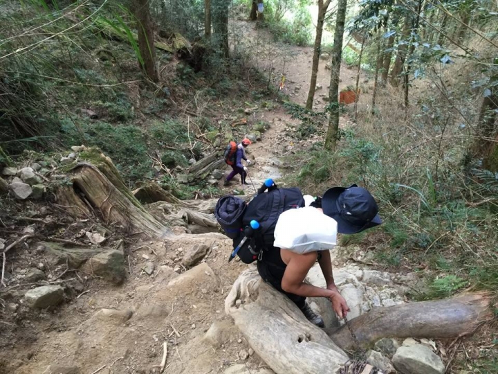 1041221 單攻水漾森林 A線(鹿屈山)去B線(林道)回