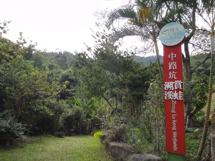 2015-12-12誤入歧途之 147縣道+投64、投68尋幽訪勝(圖文超長請包涵)
