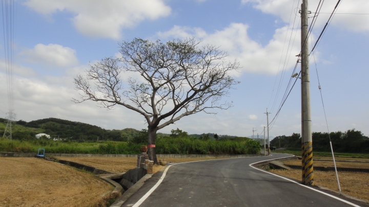 2015-11-24 誤入歧途之 縣道119全線 + 「西湖伯朗大道」與「好望角」 的山海一日遊(下集)