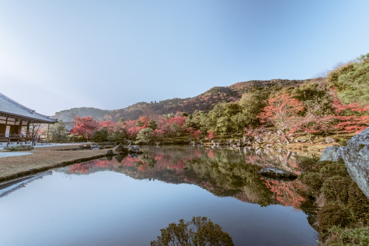2015。京都。楓 (圖多)