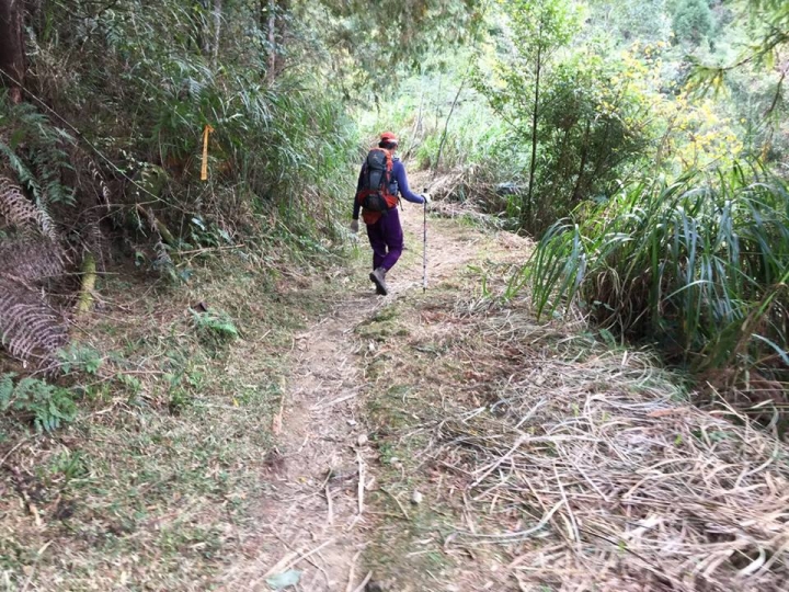 1041221 單攻水漾森林 A線(鹿屈山)去B線(林道)回