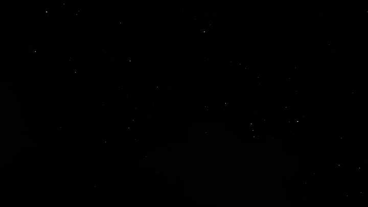 湯屋有兩棵大樹耶！全家開心東埔沙里仙泡溫泉，拍星軌、享受陽光燦爛。