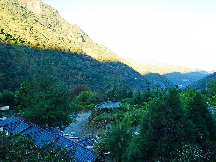 湯屋有兩棵大樹耶！全家開心東埔沙里仙泡溫泉，拍星軌、享受陽光燦爛。