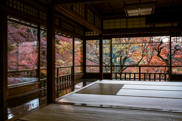 2015。京都。楓 (圖多)