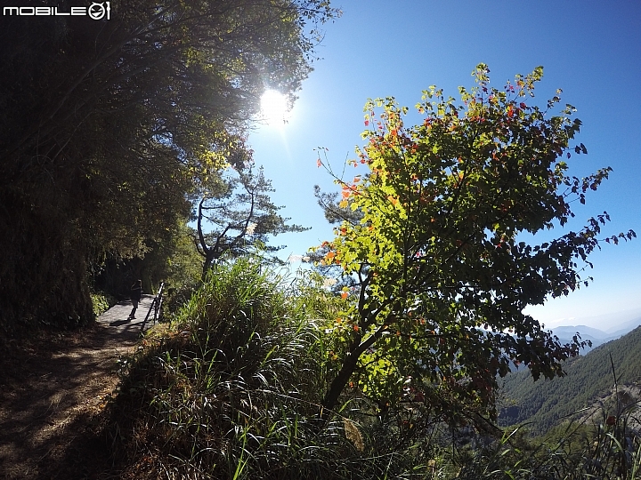 [登山遊記]2015-11-27.28五星級天池山莊之奇萊南華行（圖多慎入）-12/4更新
