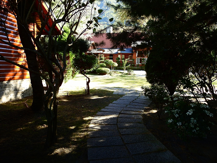 湯屋有兩棵大樹耶！全家開心東埔沙里仙泡溫泉，拍星軌、享受陽光燦爛。