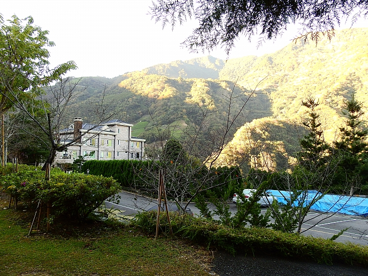 湯屋有兩棵大樹耶！全家開心東埔沙里仙泡溫泉，拍星軌、享受陽光燦爛。