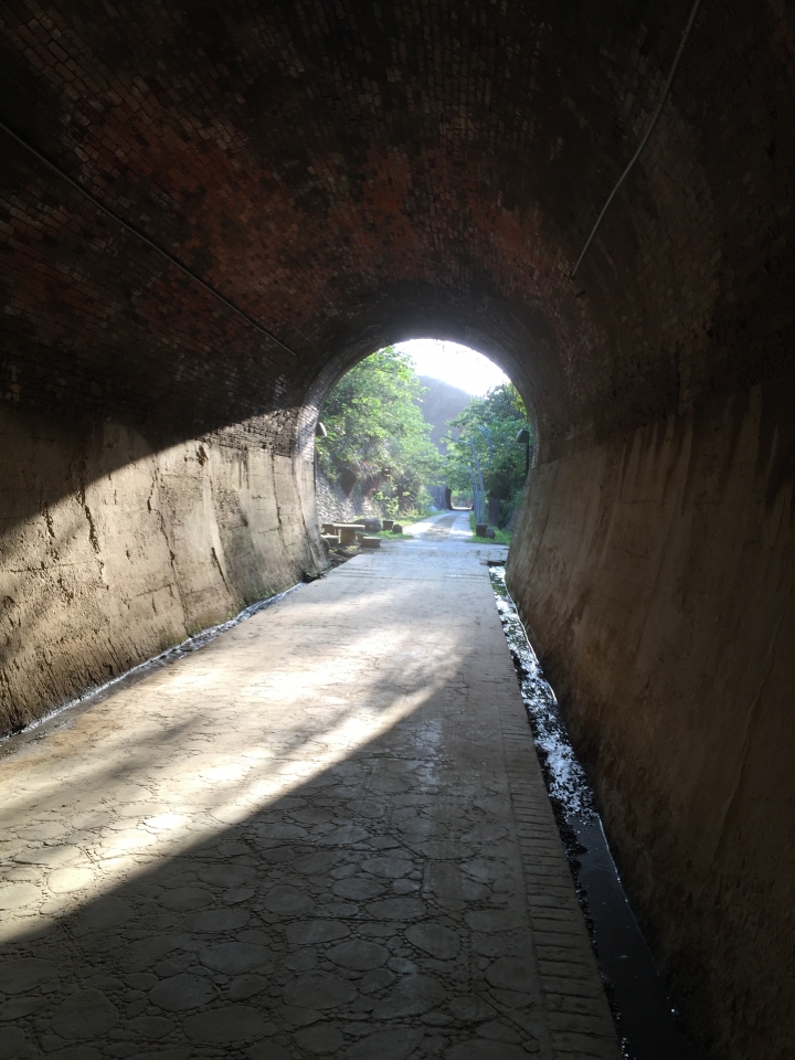 2015-11-24 誤入歧途之 縣道119全線 + 「西湖伯朗大道」與「好望角」 的山海一日遊(下集)