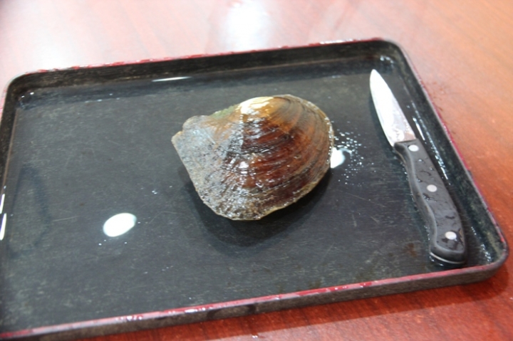 嗨 翻 江 南 五 日 孝 親 行 ( 第 三 、 四 日 )