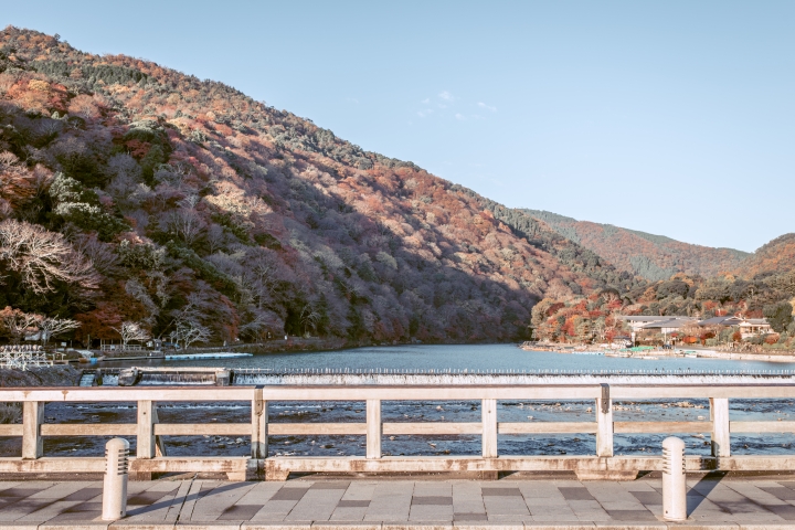 2015。京都。楓 (圖多)