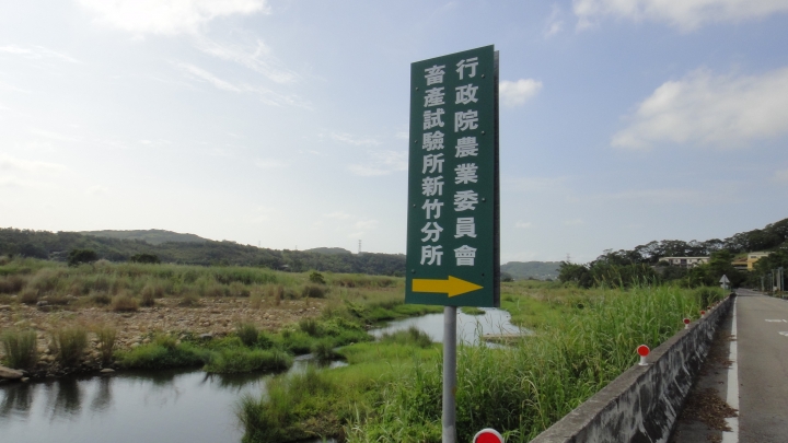 2015-11-24 誤入歧途之 縣道119全線 + 「西湖伯朗大道」與「好望角」 的山海一日遊(下集)