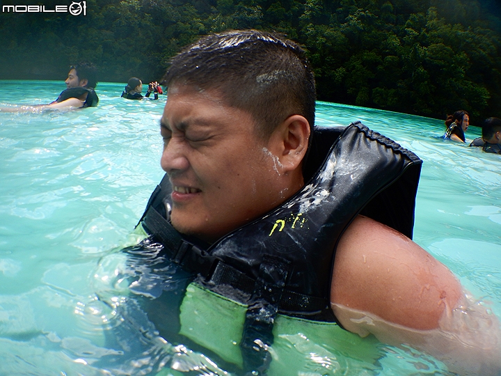 [小惡魔2015員旅] 帛琉浮潛Day2：牛奶湖/七彩魚/水母湖/鯊魚城/干貝城/美人魚水道