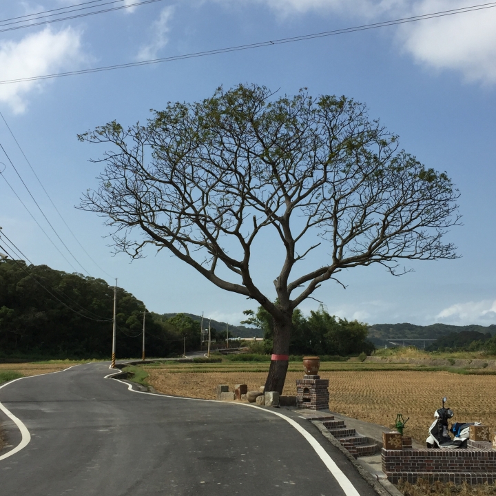 2015-11-24 誤入歧途之 縣道119全線 + 「西湖伯朗大道」與「好望角」 的山海一日遊(下集)