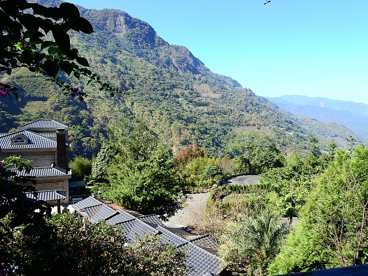 湯屋有兩棵大樹耶！全家開心東埔沙里仙泡溫泉，拍星軌、享受陽光燦爛。