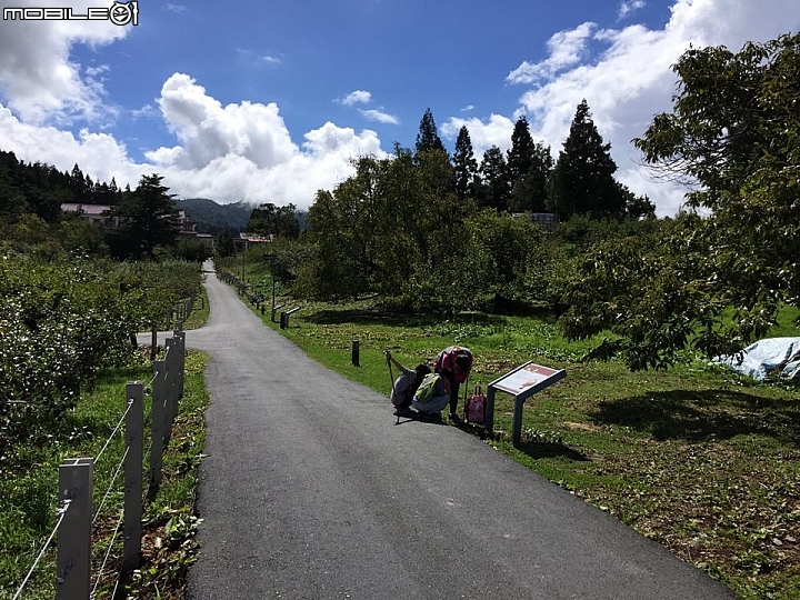 開著（山土匪）露營去之５～～