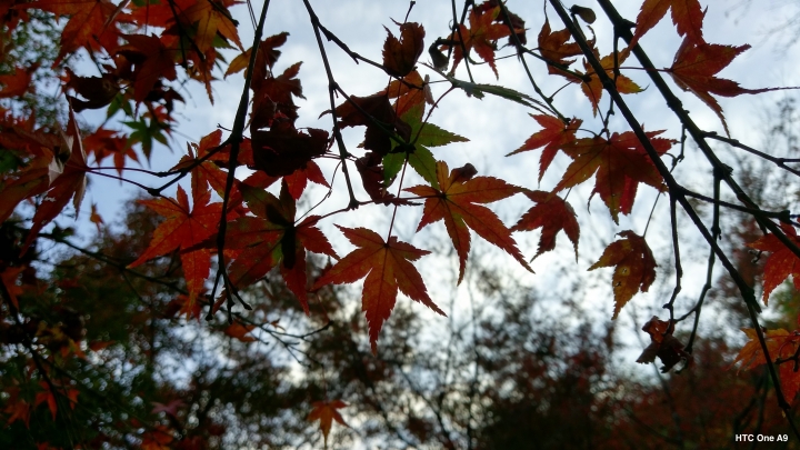 iPhone 6s v.s HTC One A9（京阪神旅行篇）