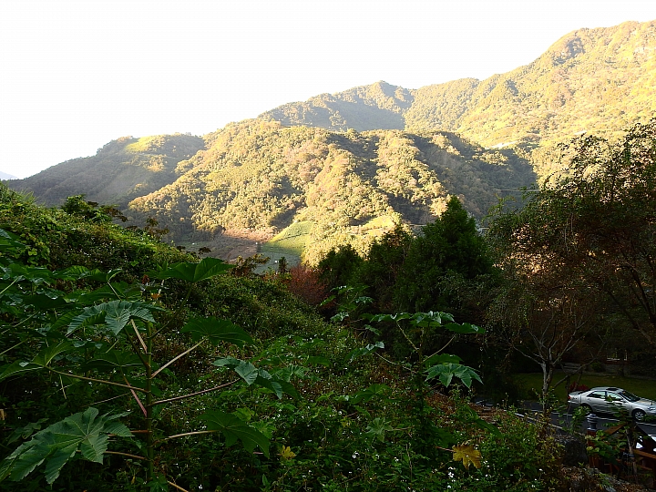 湯屋有兩棵大樹耶！全家開心東埔沙里仙泡溫泉，拍星軌、享受陽光燦爛。