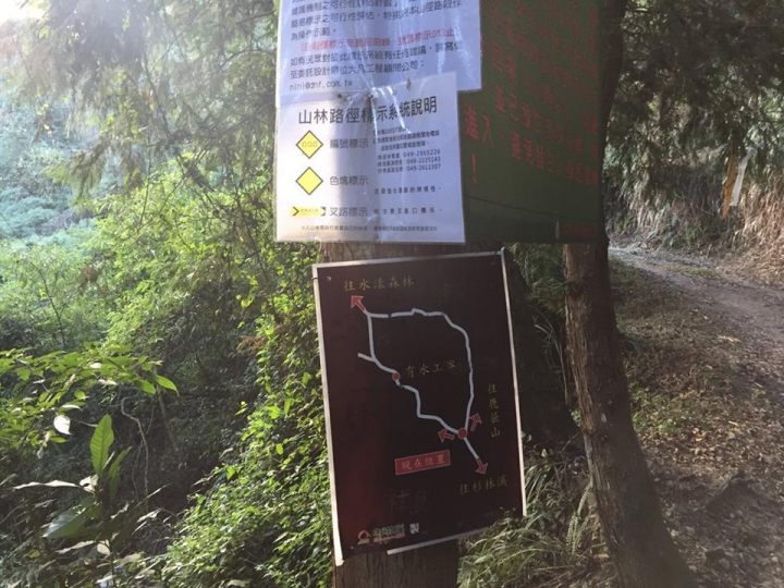 1041221 單攻水漾森林 A線(鹿屈山)去B線(林道)回