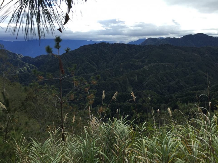 1041221 單攻水漾森林 A線(鹿屈山)去B線(林道)回